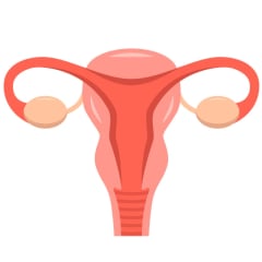 Gynecologist Thumbnail